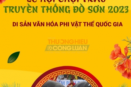 Thông tin về giá vé tour xem chọi trâu Đồ Sơn năm 2023