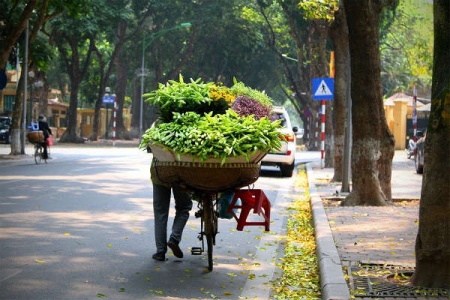 Dự báo thời tiết ngày 01/10: Miền Bắc nắng nóng, miền Nam mưa và triều cường