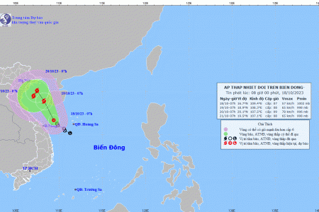 Công điện của Thủ tướng Chính phủ về tập trung ứng phó áp thấp nhiệt đới có khả năng thành bão