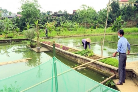 Lào Cai: Tăng cường phòng chống dịch bệnh động vật thủy sản