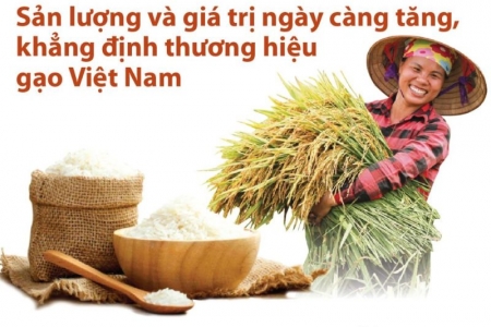 Giá lúa gạo hôm nay 25/10: Giá gạo tăng trở lại, Indonesia lại tăng mua gạo Việt Nam