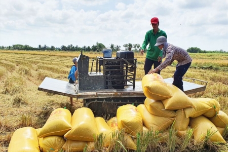 Hôm nay 26/10, giá lúa và gạo kéo dài đà tăng