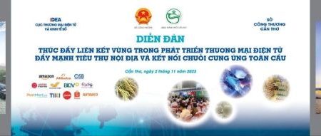 Phát triển thương mại điện tử tại đồng bằng sông Cửu Long và các tỉnh Đông Nam Bộ