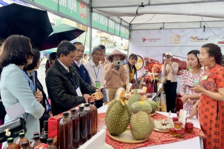 Hội chợ thương mại và giới thiệu sản phẩm nông nghiệp đặc trưng tỉnh Gia Lai sẽ diễn ra trong 5 ngày