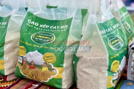 Các sản phẩm OCOP xứ Thanh đẩy mạnh sản xuất phục vụ hàng hóa cho dịp tết Nguyên đán 2024