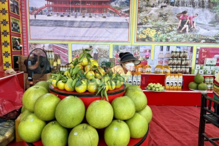 Tỉnh Thanh Hóa thực hiện hiệu quả các cơ chế, chính sách đối với khu vực miền núi