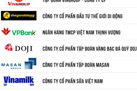 Hòa Phát vẫn đứng trên Vingroup, THACO 'bay' khỏi TOP 10 DN tư nhân lớn nhất Việt Nam năm 2023