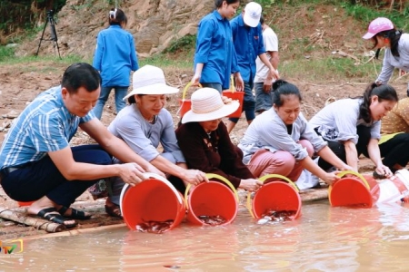 Thanh Hóa nỗ lực trong tái tạo nguồn lợi thủy sản