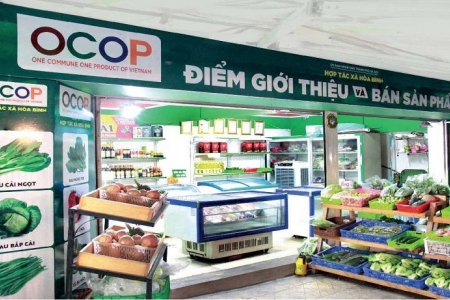 Giai đoạn 2018-2023: Cả nước có hơn 10.300 sản phẩm OCOP đạt 3 sao trở lên