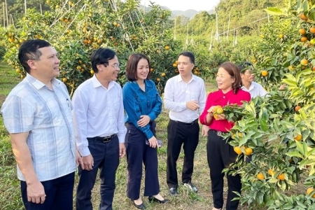 Tham quan mô hình kinh tế du lịch, nông nghiệp công nghệ cao tại huyện Thạch Thành