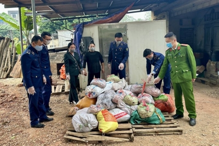 Tiêu hủy hơn 1 tấn bì lợn đã bị ôi thiu, biến đổi màu sắc không đảm bảo an toàn