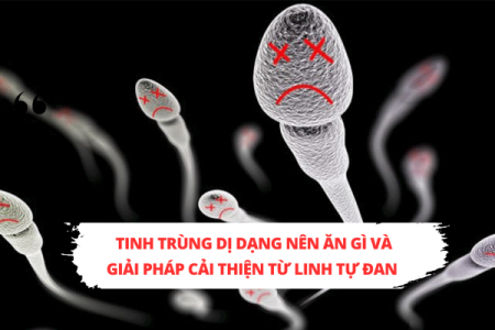 Tinh trùng dị dạng nên ăn gì và giải pháp cải thiện từ Linh Tự Đan