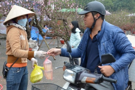 Chợ hoa Tết lớn nhất Ninh Bình: Người lao động tự do vất vả mưu sinh