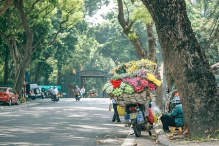 Thời tiết mùng 4 Tết (13/02): Bắc Bộ và Bắc Trung Bộ trời nắng