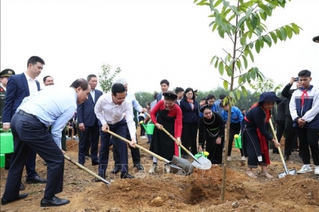 Chủ tịch nước dự Lễ phát động Tết trồng cây 'Đời đời nhớ ơn Bác Hồ'