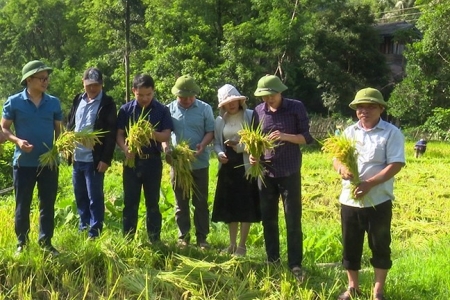 Thanh Hóa triển khai nhiều mô hình nhằm thúc đẩy phát triển kinh tế khu vực nông thôn, miền núi