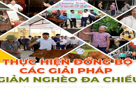 Tỷ lệ hộ nghèo chung ở miền núi phía Bắc và Tây Nguyên cao nhất nước