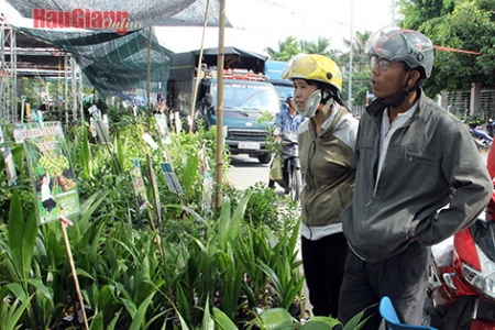 Hậu Giang: Năm 2024, thực hiện ít nhất 8 cuộc thanh tra trong lĩnh vực vật tư nông nghiệp