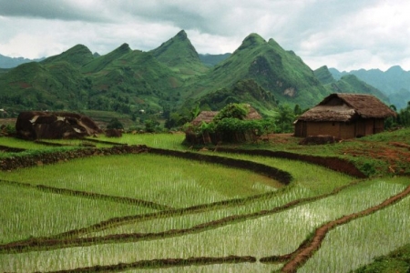 11 hành vi bị nghiêm cấm trong lĩnh vực đất đai