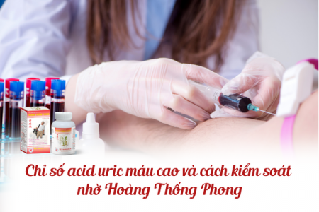 Chỉ số acid uric máu cao và cách kiểm soát nhờ Hoàng Thống Phong