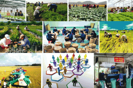 Bà Rịa – Vũng Tàu phấn đấu có khoảng 194 hợp tác xã trong năm 2024