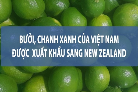 Việt Nam-New Zealand, hai nền kinh tế năng động, có nhiều tiềm năng hợp tác