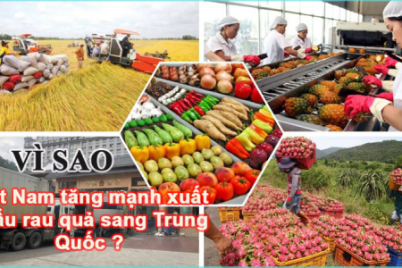 Vì sao, Việt Nam tăng mạnh xuất khẩu rau quả sang Trung Quốc?