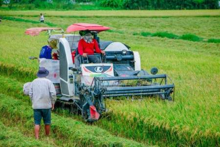 Tháo gỡ khó khăn các chương trình mục tiêu quốc gia