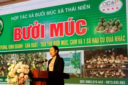 Phát động cuộc thi “Thách thức sáng kiến kinh doanh năm 2024"