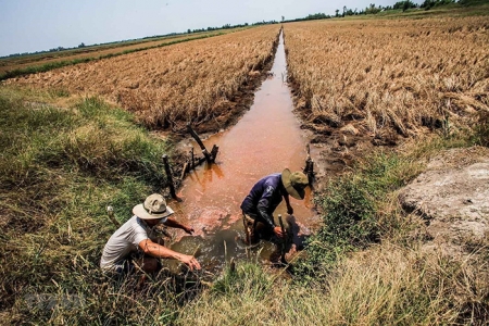 Đồng Tháp tăng cường các giải pháp ứng phó đợt hạn hán, xâm nhập mặn