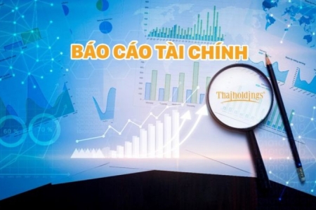 Thaiholdings lợi nhuận sau thuế hơn 220 tỷ đồng, đạt hơn 90% mục tiêu lợi nhuận đã đề ra