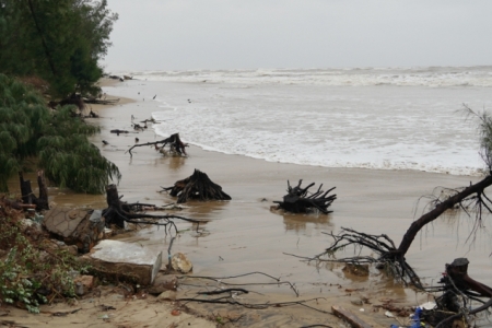 Quảng Bình phân bổ 100 tỷ đồng khắc phục sạt lở bờ biển
