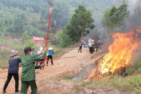 Bắc Ninh: Ứng trực 24/24 giờ tại những khu vực có mức cảnh báo nguy cơ cháy rừng từ cấp III trở lên