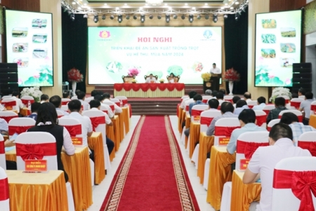 Nghệ An đặt mục tiêu đạt hơn 412 nghìn tấn lương thực trong vụ Hè Thu - Mùa 2024