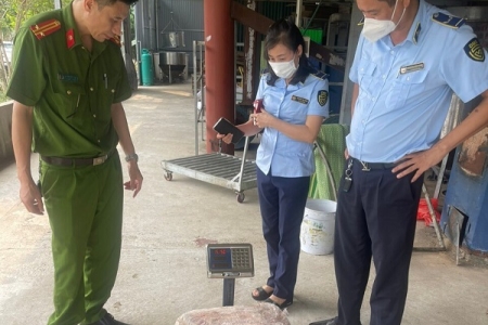 Ngăn chặn kịp thời hơn 1 tấn nầm lợn đông lạnh không rõ nguồn gốc, xuất xứ ra thị trường