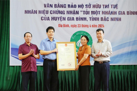 Công bố Nhãn hiệu chứng nhận "Tỏi một nhánh Gia Bình"