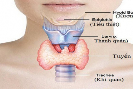 Thiếu hoặc thừa hormone tuyến giáp sẽ gây ra nhiều vấn đề cho sức khỏe