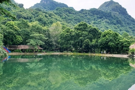 Hải Phòng tăng cường phòng cháy, chữa cháy rừng