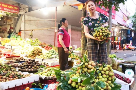 Bắc Giang: Vải cực sớm có giá 100 nghìn đồng/kg