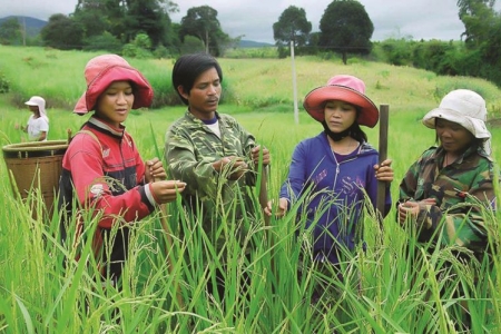 Giảm nghèo là thành tựu trong bảo vệ quyền con người ở Việt Nam