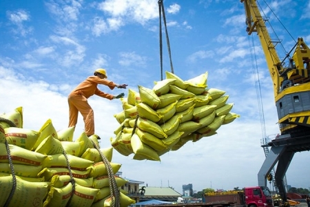 Tại sao Philippines luôn là bạn hàng gạo lớn nhất của Việt Nam?