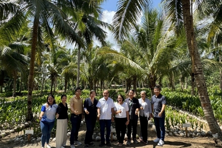 Cơ hội hợp tác ngành dừa Việt Nam - Philippines