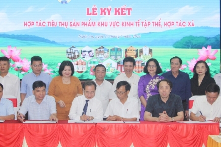 Thúc đẩy tiêu thụ sản phẩm trong khu vực kinh tế tập thể và hợp tác xã