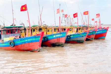 Nam Định chống khai thác IUU: Huyện ven biển không lơ là, chủ quan trong công tác tháo gỡ thẻ vàng (bài 3)