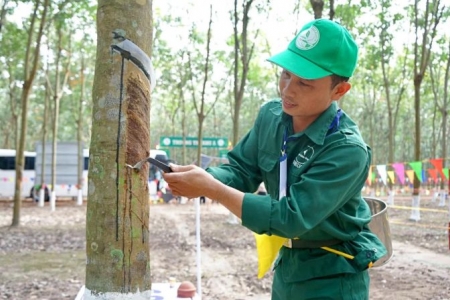 Công nghiệp Cao su Việt Nam trả cổ tức năm 2023 tỷ lệ 3%