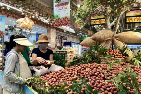 Sơn La đẩy mạnh quảng bá, xúc tiến tiêu thụ nông sản sạch