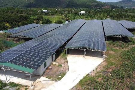 Đồng Nai: Đã kiểm tra dự án điện mặt trời của Công ty TNHH Solar Thành Đạt