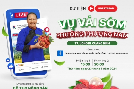 Quảng Ninh: Ứng dụng chuyển đổi số trong sản xuất, tiêu thụ nông sản