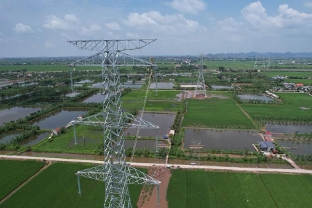 Cơ bản hoàn thành dựng cột Dự án đường dây 500kV mạch 3, đoạn nhiệt điện Nam Định I – Thanh Hóa