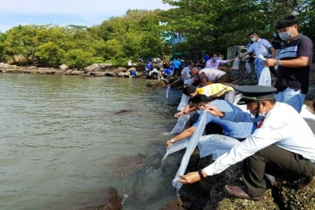 Cà Mau tăng cường quản lý, bảo vệ nguồn lợi thủy sản